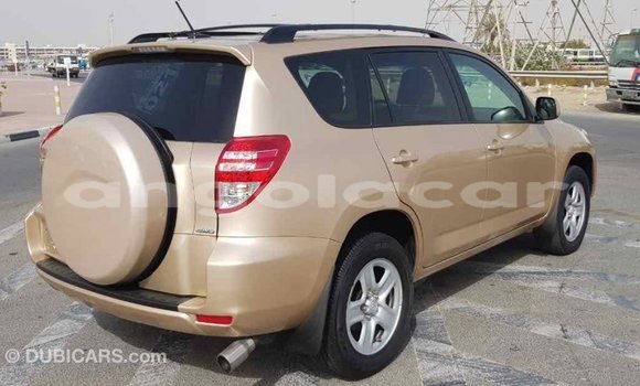 Comprar Importar Toyota RAV4 Outro Carro em Import - Dubai em Bengo Province Comprar Importar Toyota RAV4 Outro Carro em Import - Dubai em Bengo Province