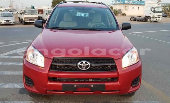 Comprar Importar Toyota RAV4 Vermelho Carro em Import - Dubai em Bengo Province Comprar Importar Toyota RAV4 Vermelho Carro em Import - Dubai em Bengo Province