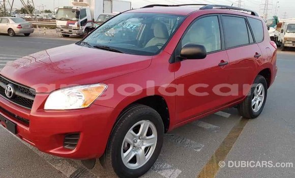 Comprar Importar Toyota RAV4 Vermelho Carro em Import - Dubai em Bengo Province Comprar Importar Toyota RAV4 Vermelho Carro em Import - Dubai em Bengo Province