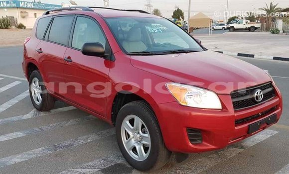 Comprar Importar Toyota RAV4 Vermelho Carro em Import - Dubai em Bengo Province Comprar Importar Toyota RAV4 Vermelho Carro em Import - Dubai em Bengo Province