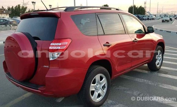 Comprar Importar Toyota RAV4 Vermelho Carro em Import - Dubai em Bengo Province Comprar Importar Toyota RAV4 Vermelho Carro em Import - Dubai em Bengo Province