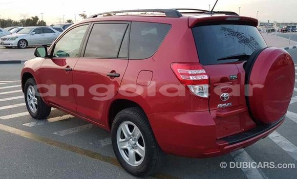 Comprar Importar Toyota RAV4 Vermelho Carro em Import - Dubai em Bengo Province Comprar Importar Toyota RAV4 Vermelho Carro em Import - Dubai em Bengo Province