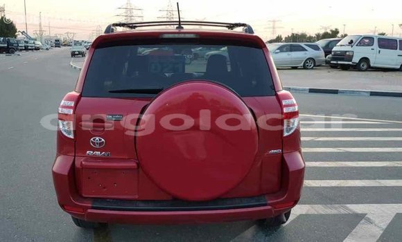 Comprar Importar Toyota RAV4 Vermelho Carro em Import - Dubai em Bengo Province Comprar Importar Toyota RAV4 Vermelho Carro em Import - Dubai em Bengo Province