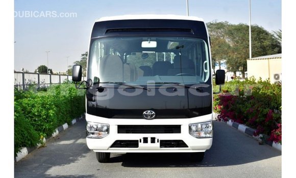 Buy Import Toyota Coaster White Car in Import - Dubai in Bengo Province Buy Import Toyota Coaster White Car in Import - Dubai in Bengo Province