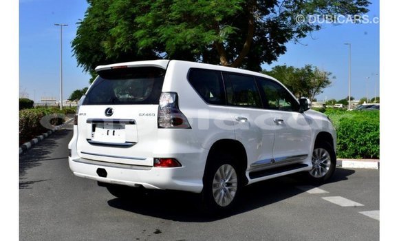 Buy Import Lexus GX White Car in Import - Dubai in Bengo Province Buy Import Lexus GX White Car in Import - Dubai in Bengo Province