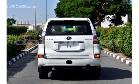 Buy Import Lexus GX White Car in Import - Dubai in Bengo Province Buy Import Lexus GX White Car in Import - Dubai in Bengo Province