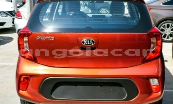 Buy Used Kia Picanto Red Car in Luanda in Luanda Province Buy Used Kia Picanto Red Car in Luanda in Luanda Province