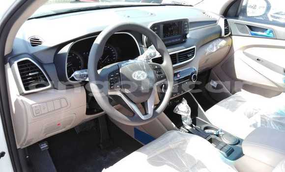 Buy New Hyundai Tucson White Car in Import - Dubai in Bengo Province Buy New Hyundai Tucson White Car in Import - Dubai in Bengo Province