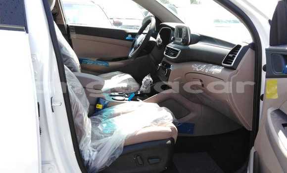 Buy New Hyundai Tucson White Car in Import - Dubai in Bengo Province Buy New Hyundai Tucson White Car in Import - Dubai in Bengo Province