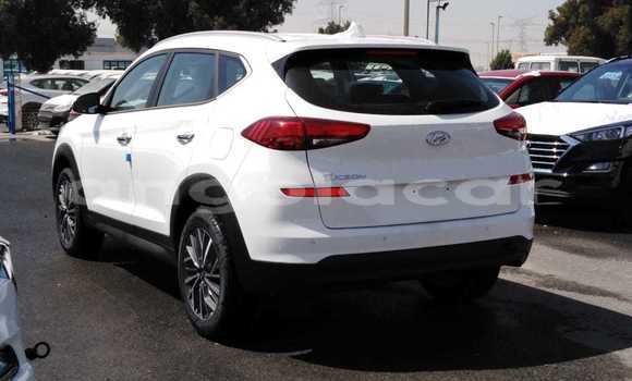 Buy New Hyundai Tucson White Car in Import - Dubai in Bengo Province Buy New Hyundai Tucson White Car in Import - Dubai in Bengo Province