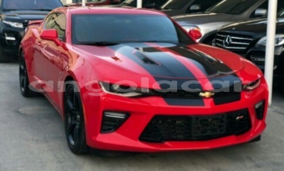Buy New Chevrolet Camaro Red Car in Luanda in Luanda Province Buy New Chevrolet Camaro Red Car in Luanda in Luanda Province