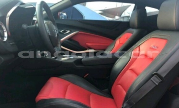 Buy New Chevrolet Camaro Red Car in Luanda in Luanda Province Buy New Chevrolet Camaro Red Car in Luanda in Luanda Province