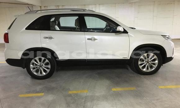 Buy Used Kia Sorento White Car in Luena in Moxico Buy Used Kia Sorento White Car in Luena in Moxico