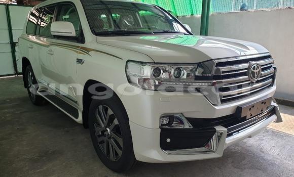 Acheter Import Voiture Toyota Land Cruiser Blanc à Benguela, Benguela Acheter Import Voiture Toyota Land Cruiser Blanc à Benguela, Benguela