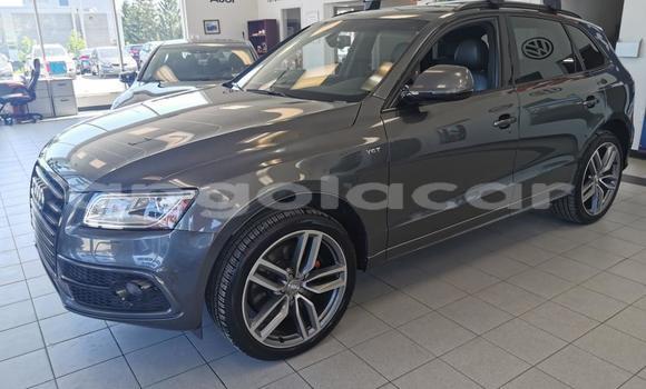 Buy Used Audi S5 Other Car in Luena in Moxico Buy Used Audi S5 Other Car in Luena in Moxico