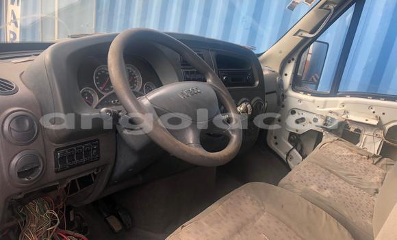 Buy Used Iveco Daily White Truck in Luanda in Luanda Province Buy Used Iveco Daily White Truck in Luanda in Luanda Province