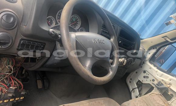 Buy Used Iveco Daily White Truck in Luanda in Luanda Province Buy Used Iveco Daily White Truck in Luanda in Luanda Province