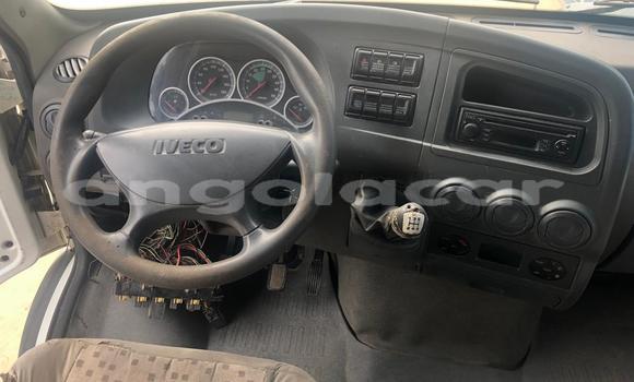 Buy Used Iveco Daily White Truck in Luanda in Luanda Province Buy Used Iveco Daily White Truck in Luanda in Luanda Province