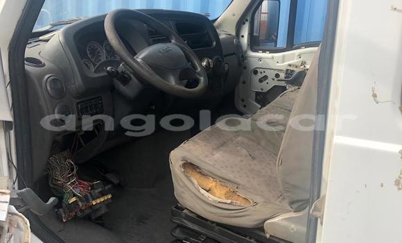 Buy Used Iveco Daily White Truck in Luanda in Luanda Province Buy Used Iveco Daily White Truck in Luanda in Luanda Province