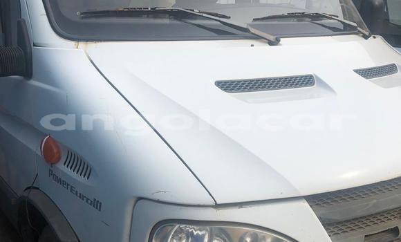 Buy Used Iveco Daily White Truck in Luanda in Luanda Province Buy Used Iveco Daily White Truck in Luanda in Luanda Province