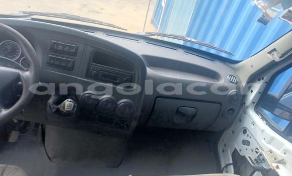 Buy Used Iveco Daily White Truck in Luanda in Luanda Province Buy Used Iveco Daily White Truck in Luanda in Luanda Province