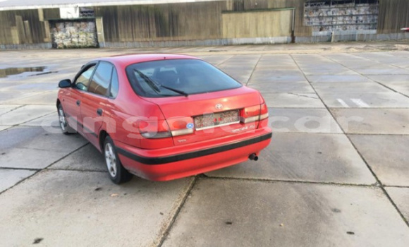 Buy Used Toyota Corolla Red Car in Luanda in Luanda Province Buy Used Toyota Corolla Red Car in Luanda in Luanda Province
