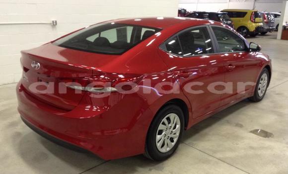 Buy Used Hyundai Elantra Red Car in Luena in Moxico Buy Used Hyundai Elantra Red Car in Luena in Moxico