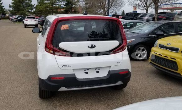 Buy Used Kia Soul Other Car in Luena in Moxico Buy Used Kia Soul Other Car in Luena in Moxico