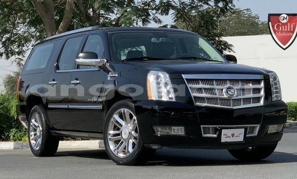 Comprar Importar Cadillac Escalade Preto Carro em Import - Dubai em Bengo Province Comprar Importar Cadillac Escalade Preto Carro em Import - Dubai em Bengo Province