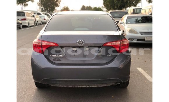 Comprar Importar Toyota Corolla Outro Carro em Import - Dubai em Bengo Province Comprar Importar Toyota Corolla Outro Carro em Import - Dubai em Bengo Province
