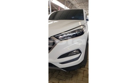 Acheter Import Voiture Hyundai Tucson Blanc à Import - Dubai, Province de Bengo Acheter Import Voiture Hyundai Tucson Blanc à Import - Dubai, Province de Bengo