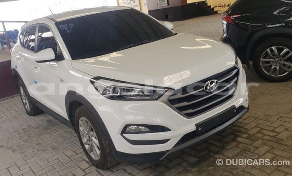 Acheter Import Voiture Hyundai Tucson Blanc à Import - Dubai, Province de Bengo Acheter Import Voiture Hyundai Tucson Blanc à Import - Dubai, Province de Bengo