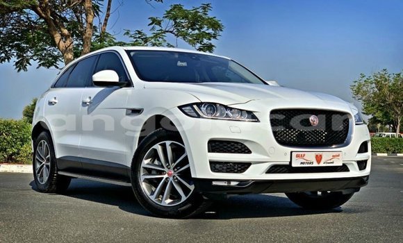 Comprar Importar Jaguar F-Pace Branco Carro em Import - Dubai em Bengo Province