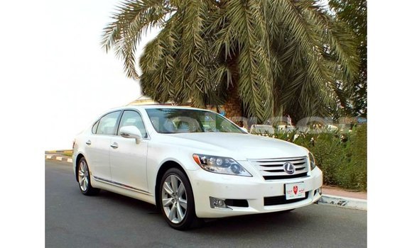 Acheter Import Voiture Lexus LS Blanc à Import - Dubai, Province de Bengo