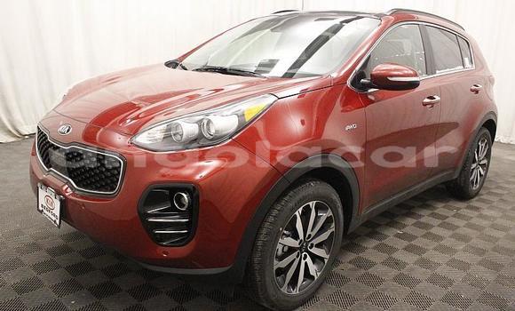 Comprar Usado Kia Sportage Bege Carro em Luanda em Luanda Province Comprar Usado Kia Sportage Bege Carro em Luanda em Luanda Province