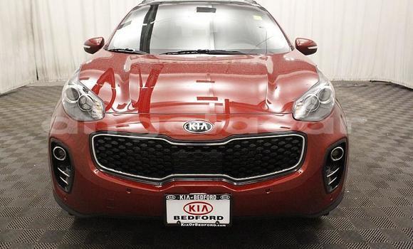 Comprar Usado Kia Sportage Bege Carro em Luanda em Luanda Province Comprar Usado Kia Sportage Bege Carro em Luanda em Luanda Province