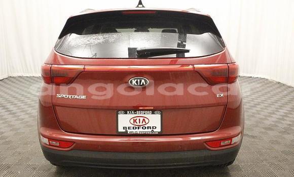 Comprar Usado Kia Sportage Bege Carro em Luanda em Luanda Province Comprar Usado Kia Sportage Bege Carro em Luanda em Luanda Province