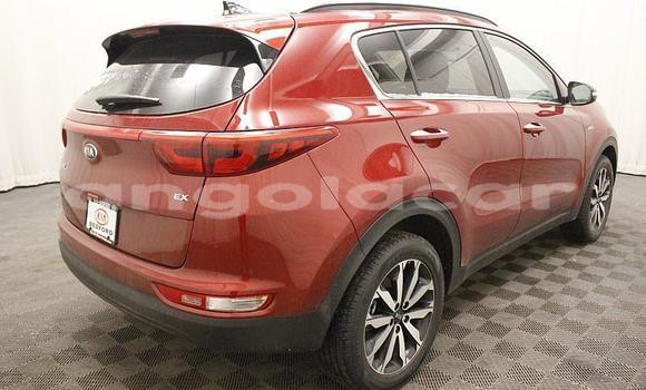 Comprar Usado Kia Sportage Bege Carro em Luanda em Luanda Province Comprar Usado Kia Sportage Bege Carro em Luanda em Luanda Province