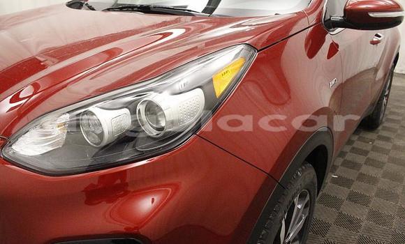 Comprar Usado Kia Sportage Bege Carro em Luanda em Luanda Province Comprar Usado Kia Sportage Bege Carro em Luanda em Luanda Province