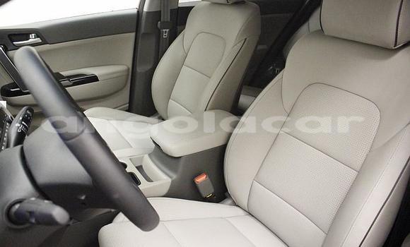 Comprar Usado Kia Sportage Bege Carro em Luanda em Luanda Province Comprar Usado Kia Sportage Bege Carro em Luanda em Luanda Province