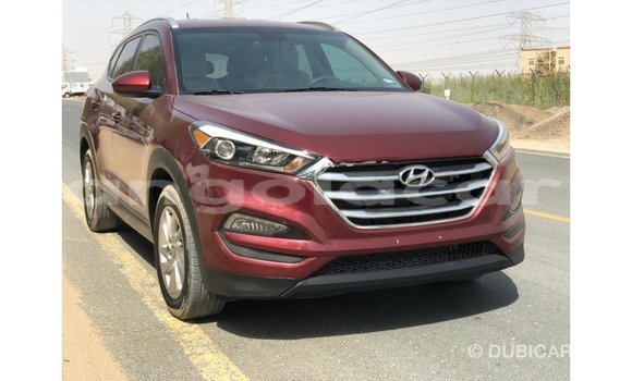 Comprar Importar Hyundai Tucson Vermelho Carro em Import - Dubai em Bengo Province Comprar Importar Hyundai Tucson Vermelho Carro em Import - Dubai em Bengo Province