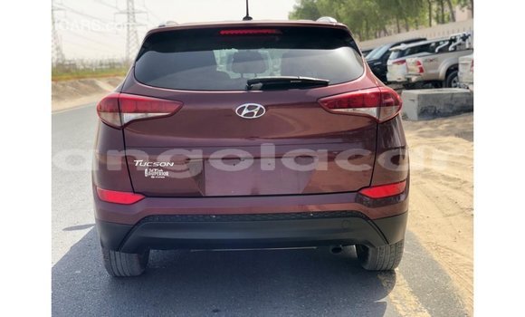 Comprar Importar Hyundai Tucson Vermelho Carro em Import - Dubai em Bengo Province Comprar Importar Hyundai Tucson Vermelho Carro em Import - Dubai em Bengo Province