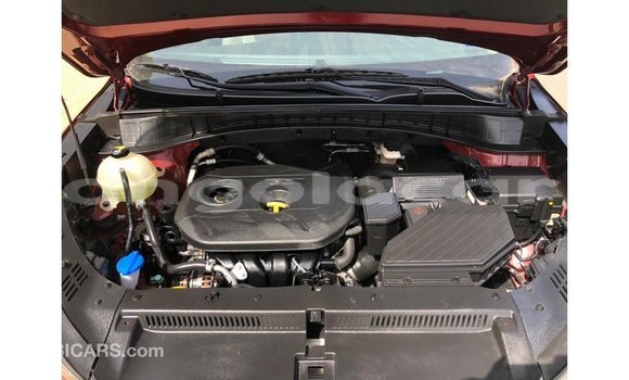 Comprar Importar Hyundai Tucson Vermelho Carro em Import - Dubai em Bengo Province Comprar Importar Hyundai Tucson Vermelho Carro em Import - Dubai em Bengo Province