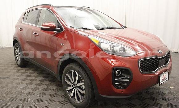 Comprar Usado Kia Sportage Bege Carro em Luanda em Luanda Province Comprar Usado Kia Sportage Bege Carro em Luanda em Luanda Province