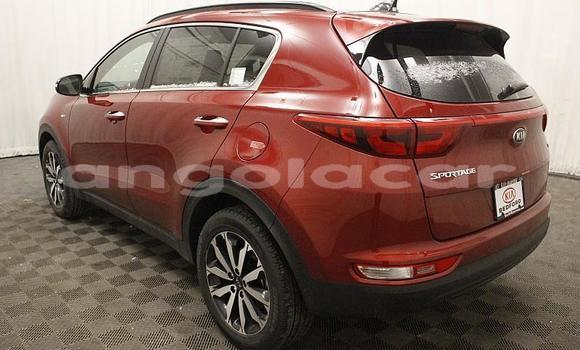 Comprar Usado Kia Sportage Bege Carro em Luanda em Luanda Province Comprar Usado Kia Sportage Bege Carro em Luanda em Luanda Province