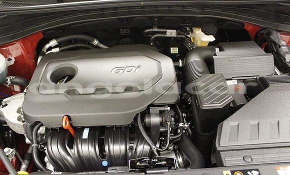 Comprar Usado Kia Sportage Bege Carro em Luanda em Luanda Province Comprar Usado Kia Sportage Bege Carro em Luanda em Luanda Province