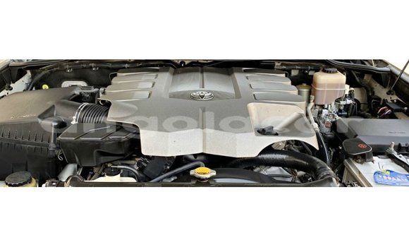 Comprar Importar Toyota Land Cruiser Branco Carro em Import - Dubai em Bengo Province Comprar Importar Toyota Land Cruiser Branco Carro em Import - Dubai em Bengo Province