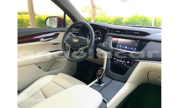 Comprar Importar Cadillac XT5 Vermelho Carro em Import - Dubai em Bengo Province Comprar Importar Cadillac XT5 Vermelho Carro em Import - Dubai em Bengo Province