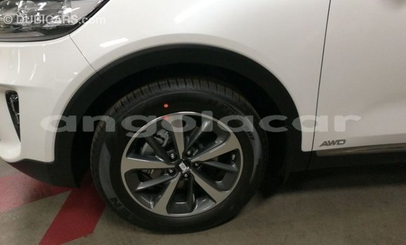 Comprar Importar Kia Sorento Branco Carro em Import - Dubai em Bengo Province Comprar Importar Kia Sorento Branco Carro em Import - Dubai em Bengo Province