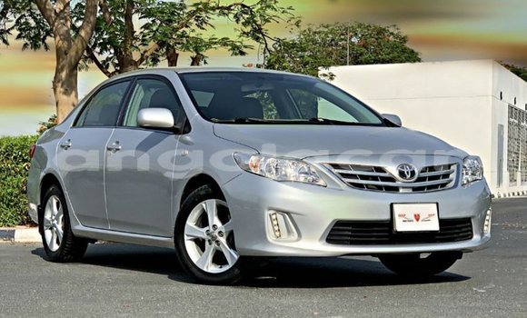 Comprar Importar Toyota Corolla Outro Carro em Import - Dubai em Bengo Province